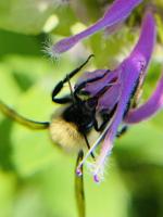 View photo in a new window