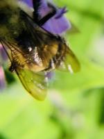 View photo in a new window