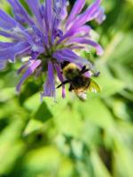 View photo in a new window