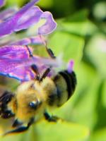 View photo in a new window