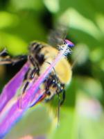 View photo in a new window