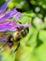 View photo in a new window