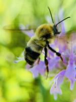 View photo in a new window