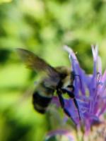 View photo in a new window