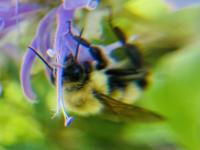 View photo in a new window