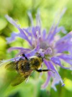 View photo in a new window