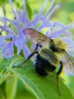 View photo in a new window