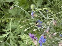 View photo in a new window