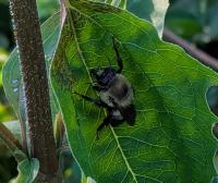 View photo in a new window