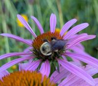 View photo in a new window