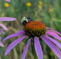 View photo in a new window