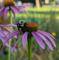 View photo in a new window