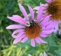 View photo in a new window