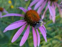 View photo in a new window