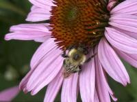 View photo in a new window