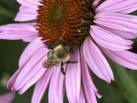 View photo in a new window