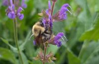 View photo in a new window