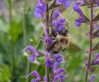 View photo in a new window