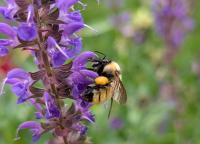 View photo in a new window