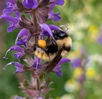 View photo in a new window