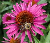 View photo in a new window