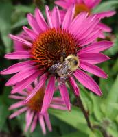 View photo in a new window