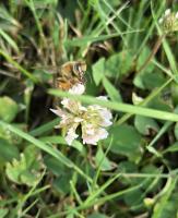 View photo in a new window