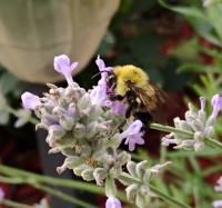 View photo in a new window