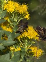 View photo in a new window