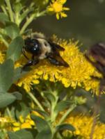 View photo in a new window