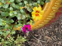 View photo in a new window