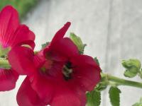 View photo in a new window