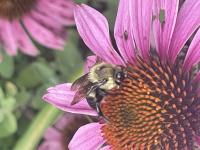 View photo in a new window