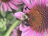 View photo in a new window