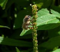 View photo in a new window