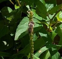 View photo in a new window