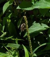 View photo in a new window