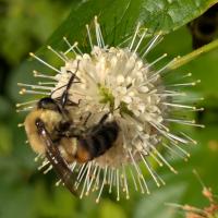 View photo in a new window