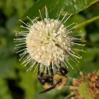 View photo in a new window