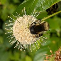 View photo in a new window