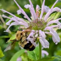 View photo in a new window