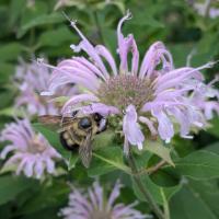 View photo in a new window