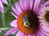 View photo in a new window