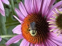 View photo in a new window