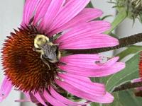 View photo in a new window