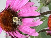 View photo in a new window