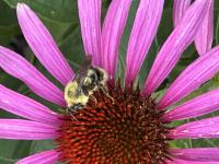 View photo in a new window