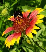 View photo in a new window