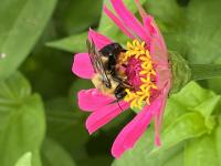 View photo in a new window