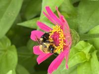 View photo in a new window